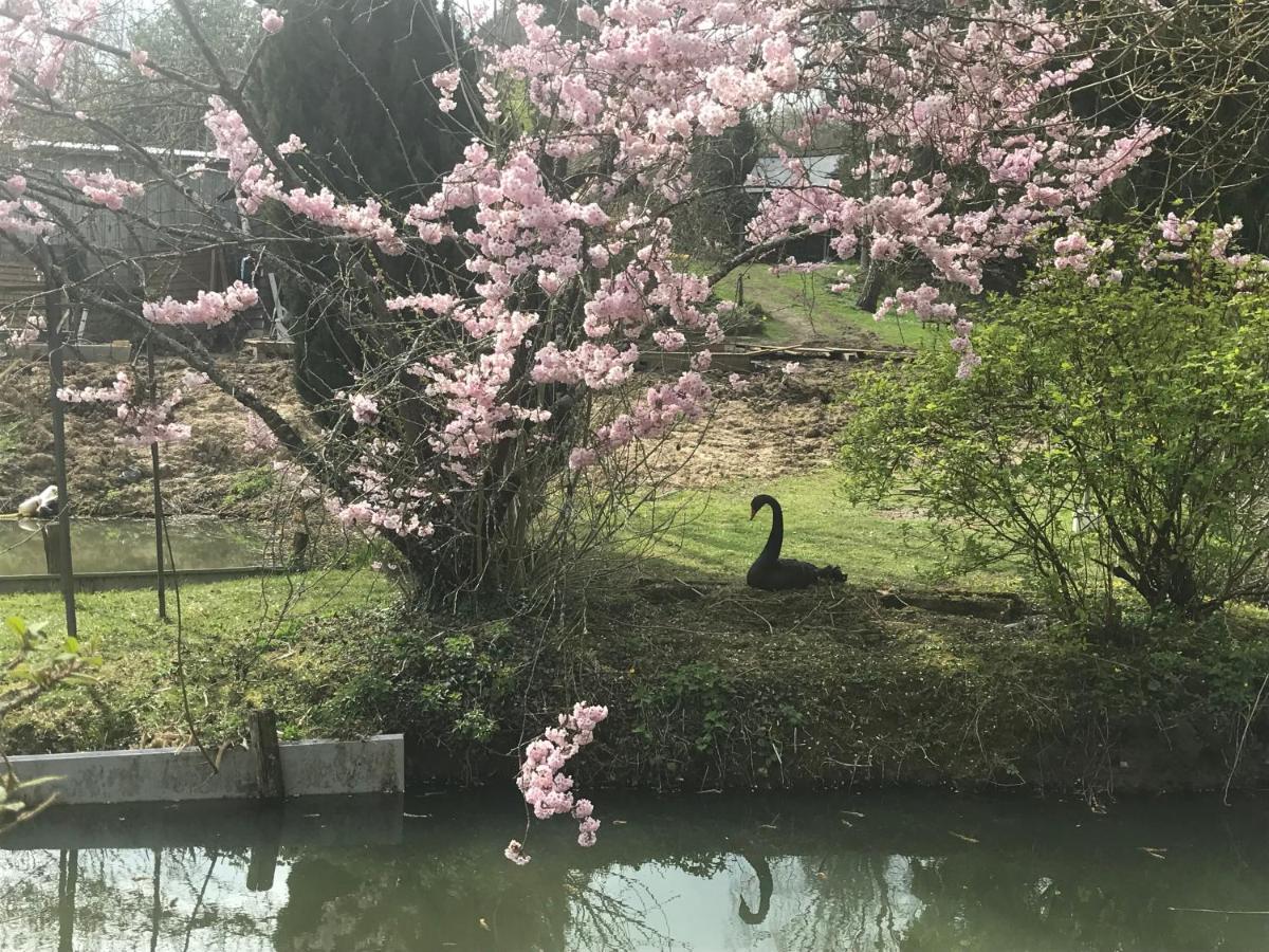 Luceau Le Moulin Calme B&B 외부 사진